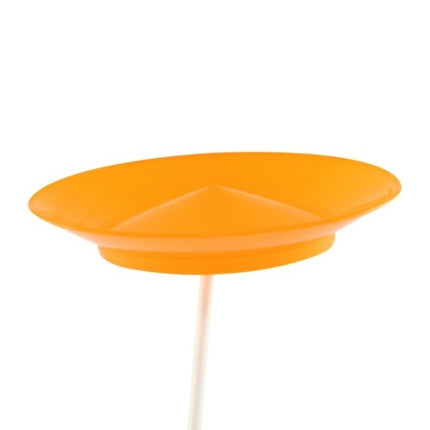 Spinning Plate Set (Lightweight)